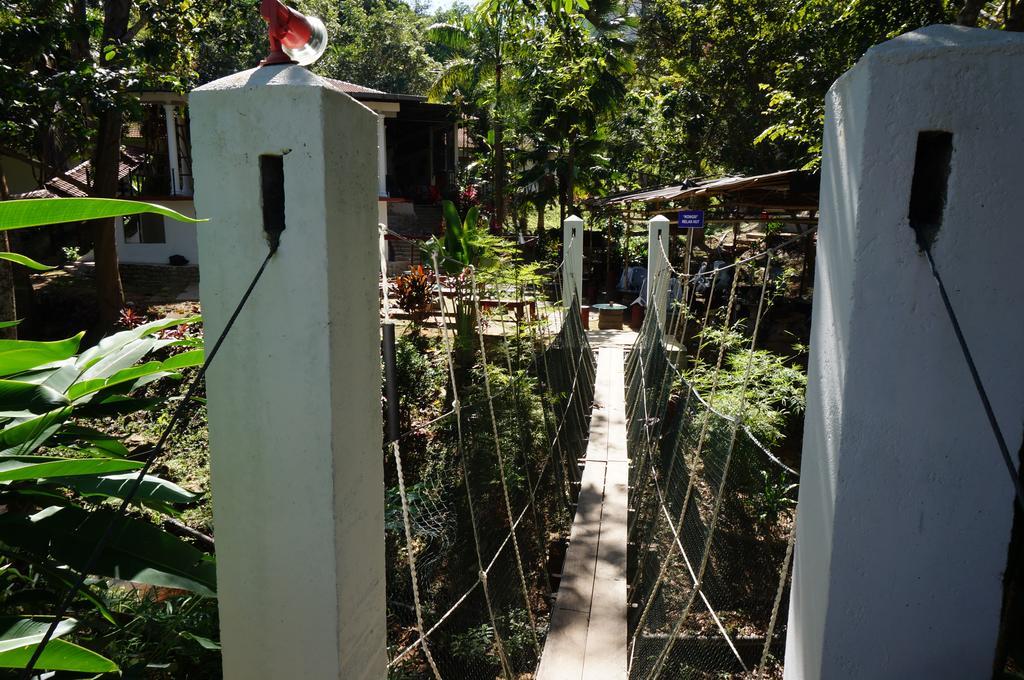 Han Rainforest Resort Kuala Tahan Eksteriør billede