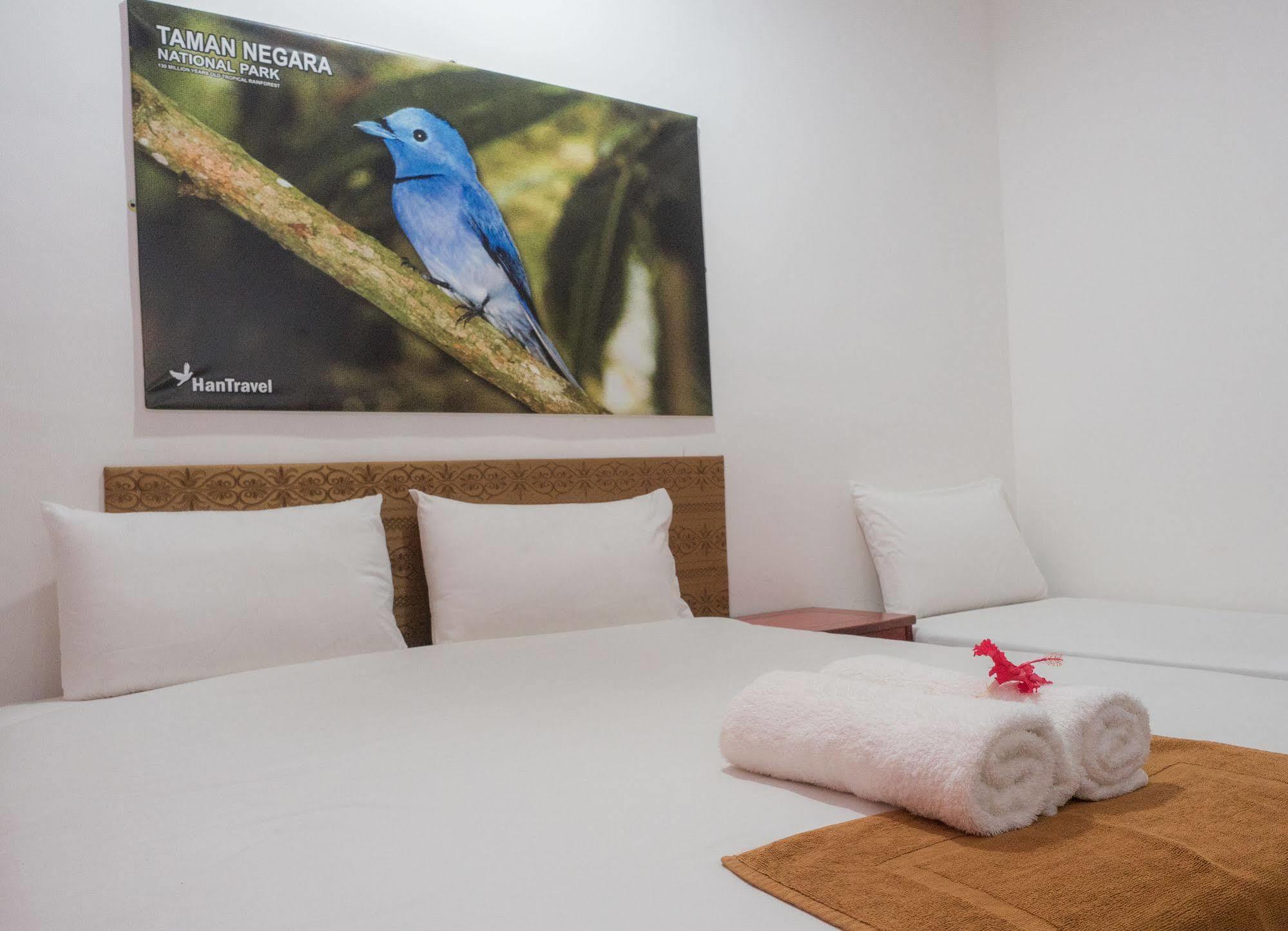Han Rainforest Resort Kuala Tahan Eksteriør billede